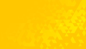 18786286 SL 072321 44560 17 300x171